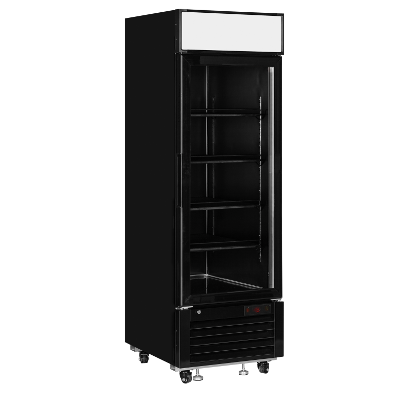 Zamrażarka ekspozycyjna LGF2500B