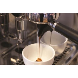 Ekspres do kawy | kolbowy 2 grupowy | Multi bojler |G-10DC2GR3B230